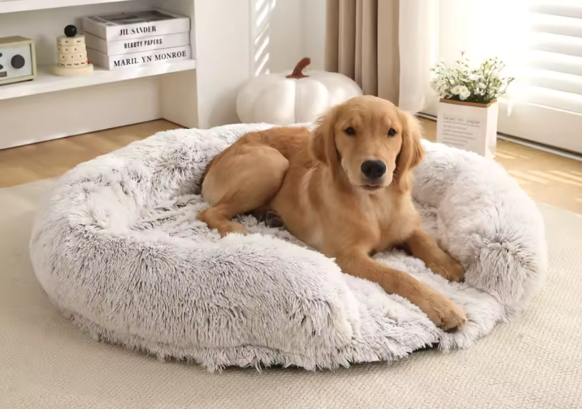 Dog Products