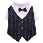 Dog Tuxedo Shirt