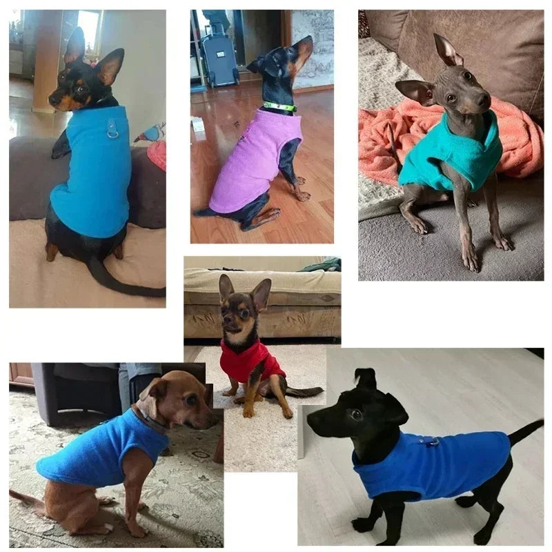 Wool Dog Vest