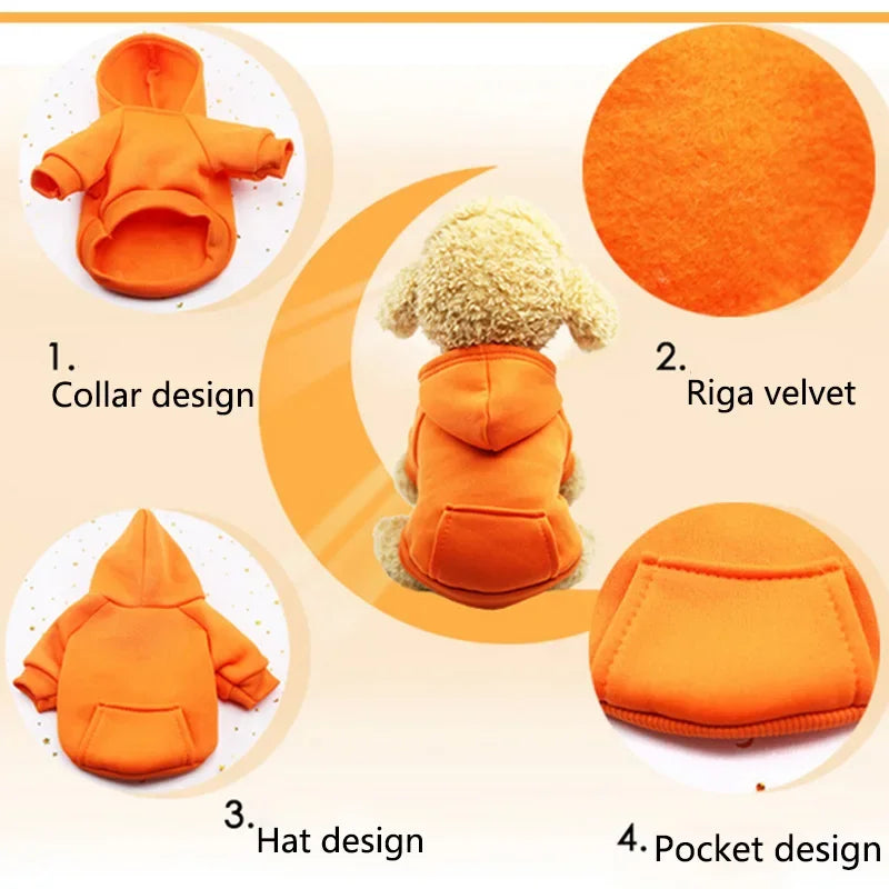 Warm Dog Hoodie
