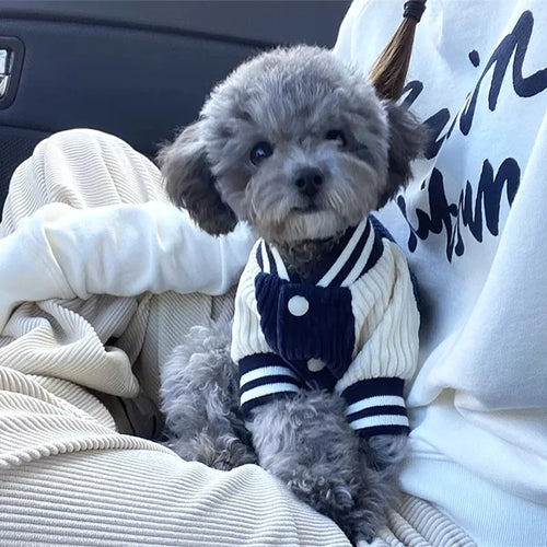 Embroidered Pet Varsity Jacket