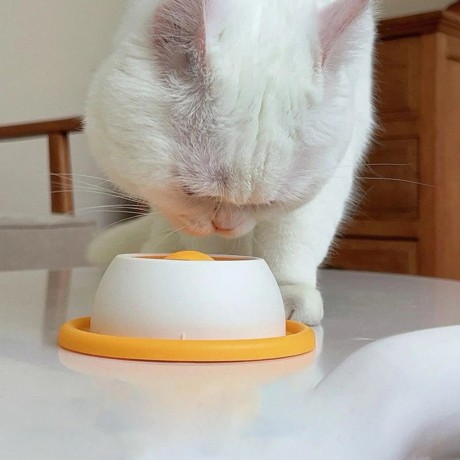 Slow Feed Lick Toy
