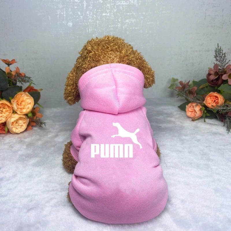 Classic Dog Hoodie