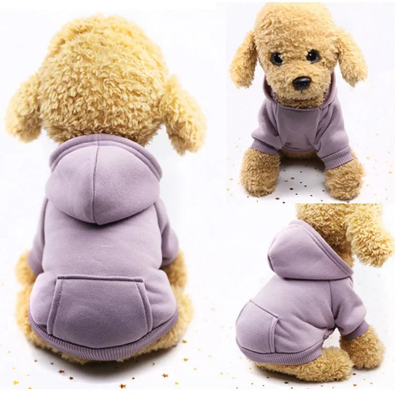 Warm Dog Hoodie
