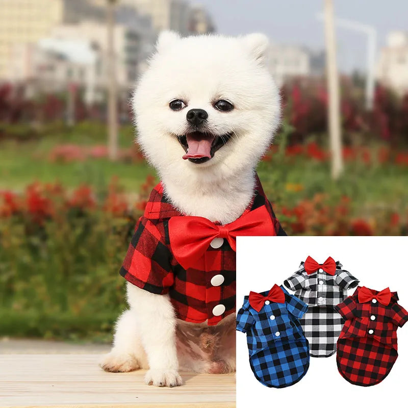 Plaid Dog Dress Shirt