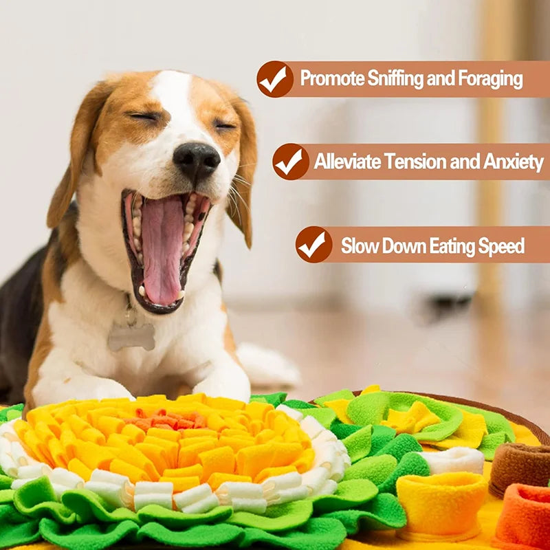Snuffle Treat Mat