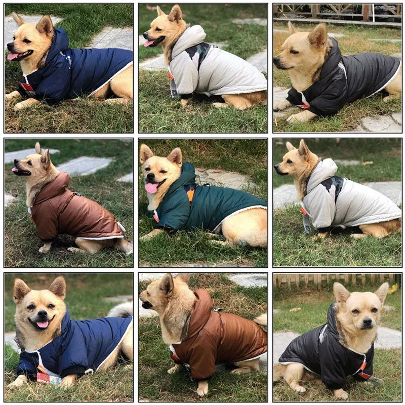 Waterproof Dog Jacket