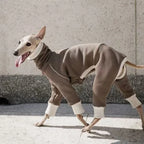 Thermal Dog Bodysuit