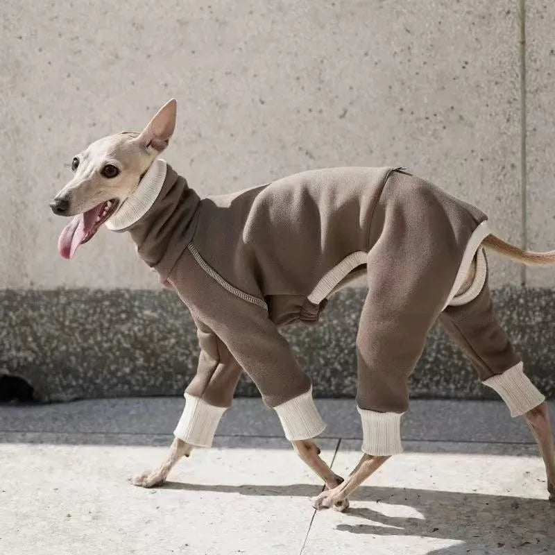 Thermal Dog Bodysuit