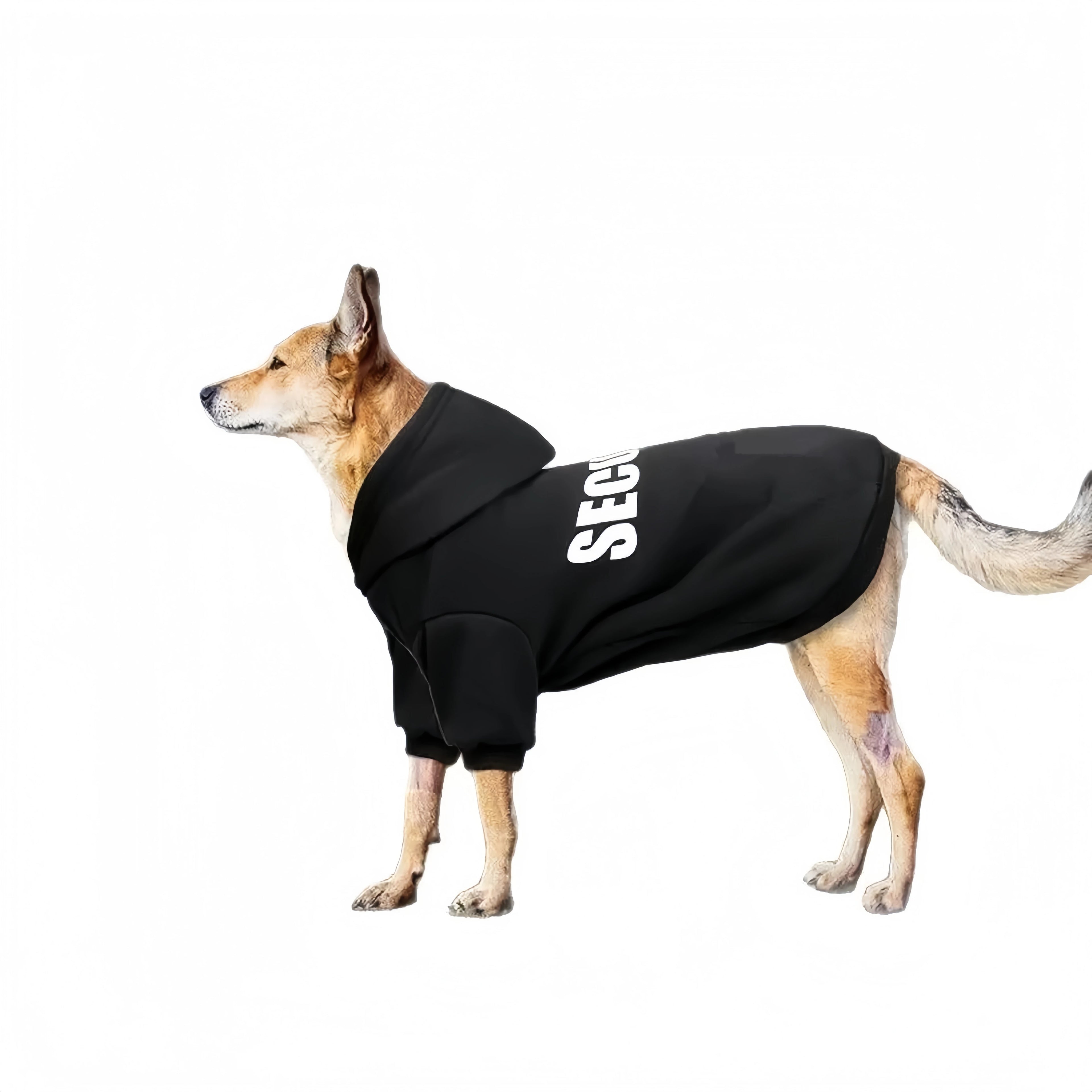 Puppy Hoodie Jacket
