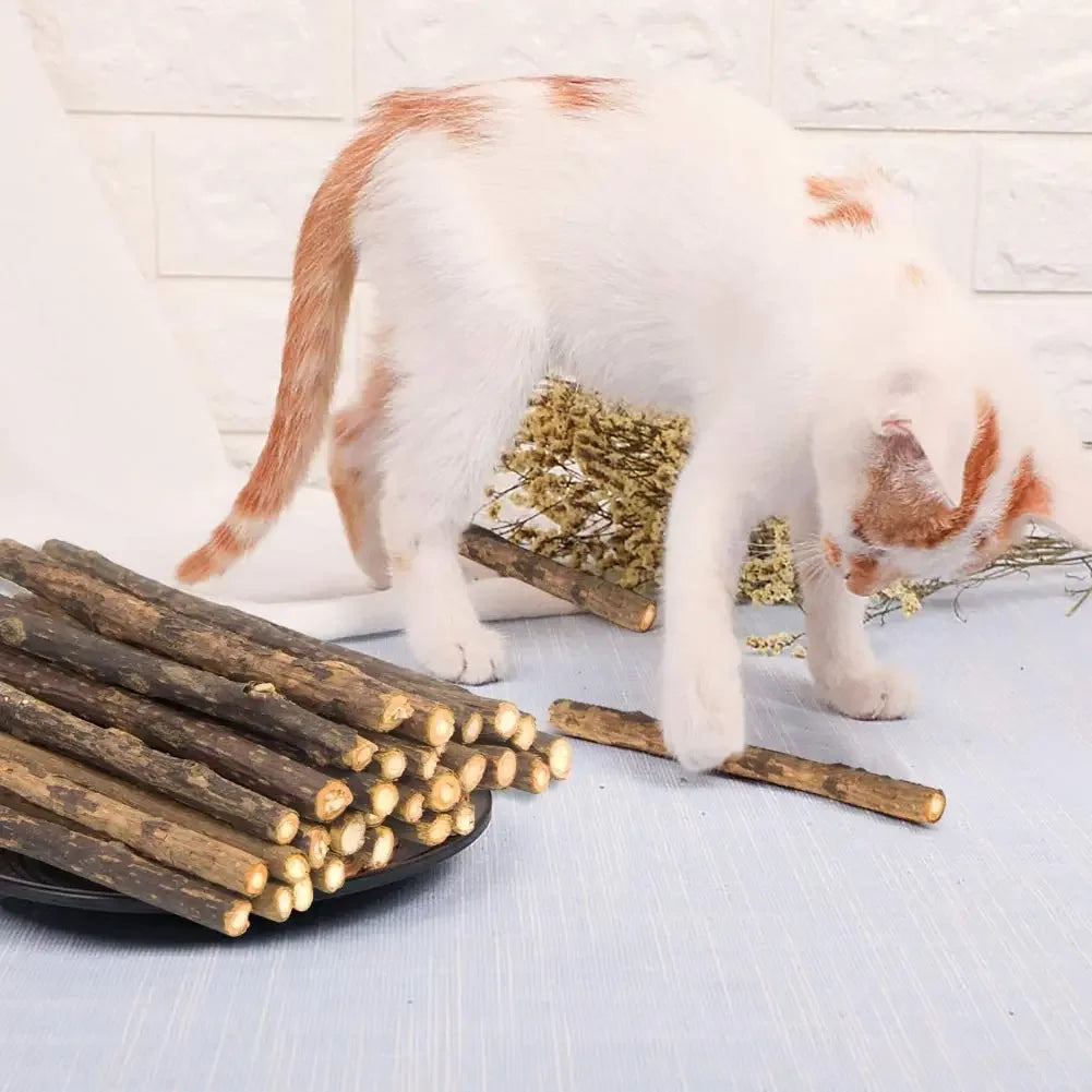 Silvervine Cat Chew Sticks