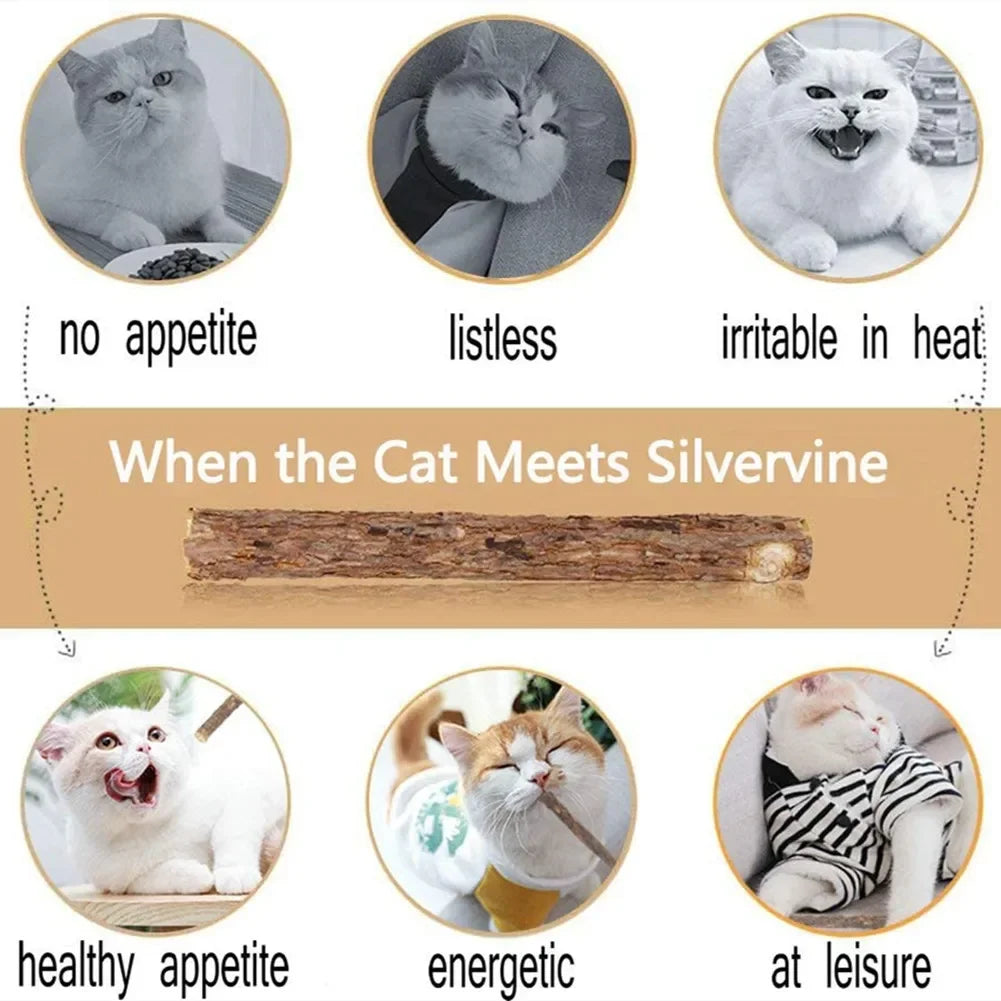 Silvervine Cat Chew Sticks