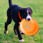 Dog Training Flying Disc