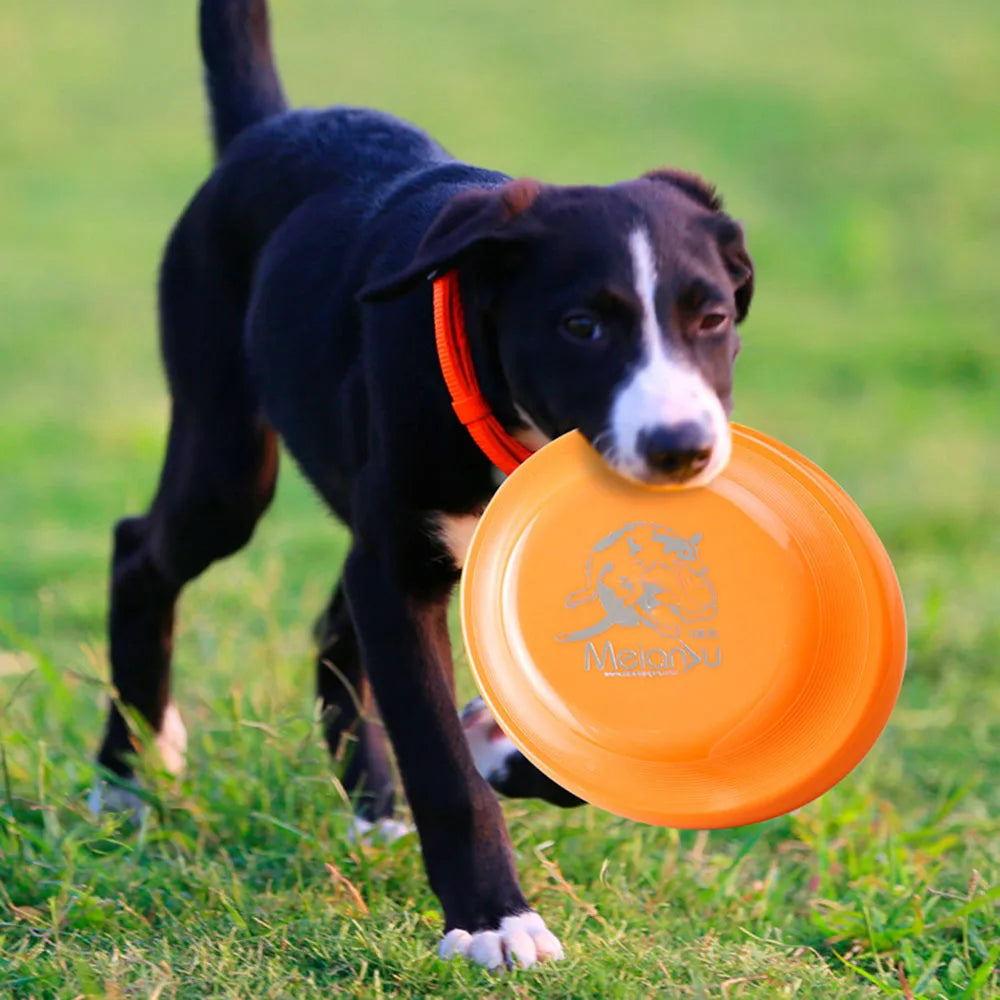 Dog Training Flying Disc