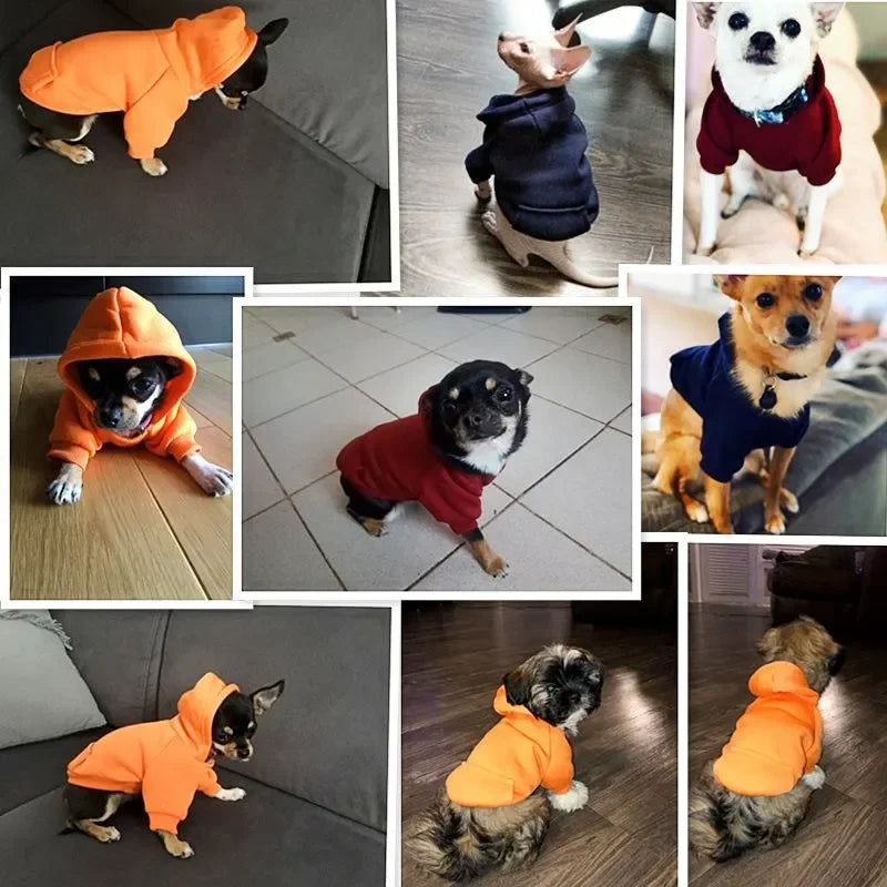 Warm Dog Hoodie