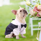 Dog Tuxedo Shirt