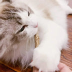 Silvervine Cat Chew Sticks