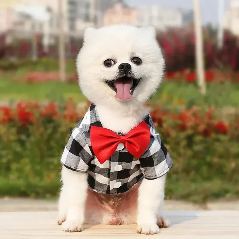 Plaid Dog Dress Shirt