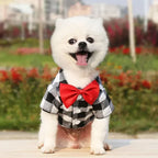 Plaid Dog Dress Shirt