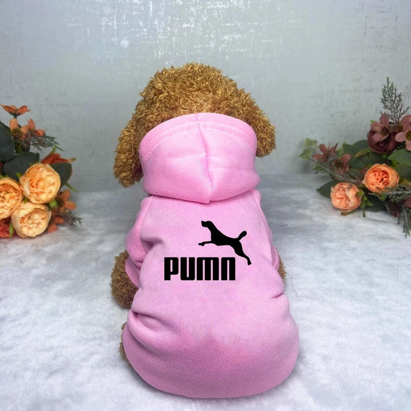 Classic Dog Hoodie