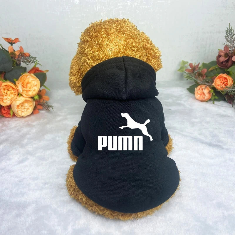 Classic Dog Hoodie