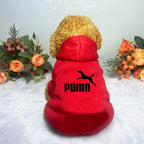 Classic Dog Hoodie