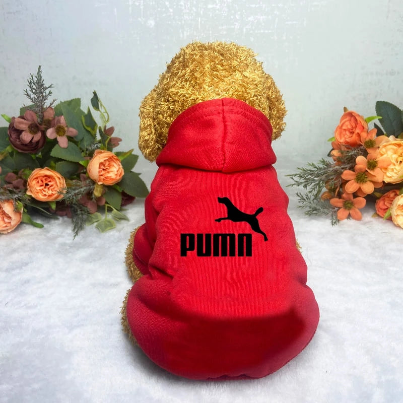 Classic Dog Hoodie