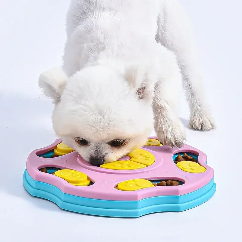 IQ Puzzle Feeder