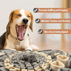 Foraging Snuffle Mat