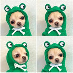 Bulldog Dog Hoodie