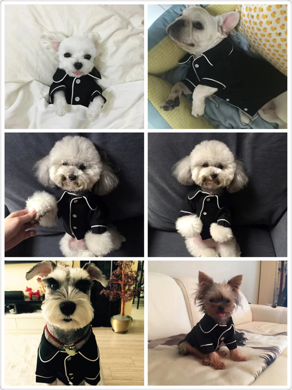 Pet Summer Pajamas