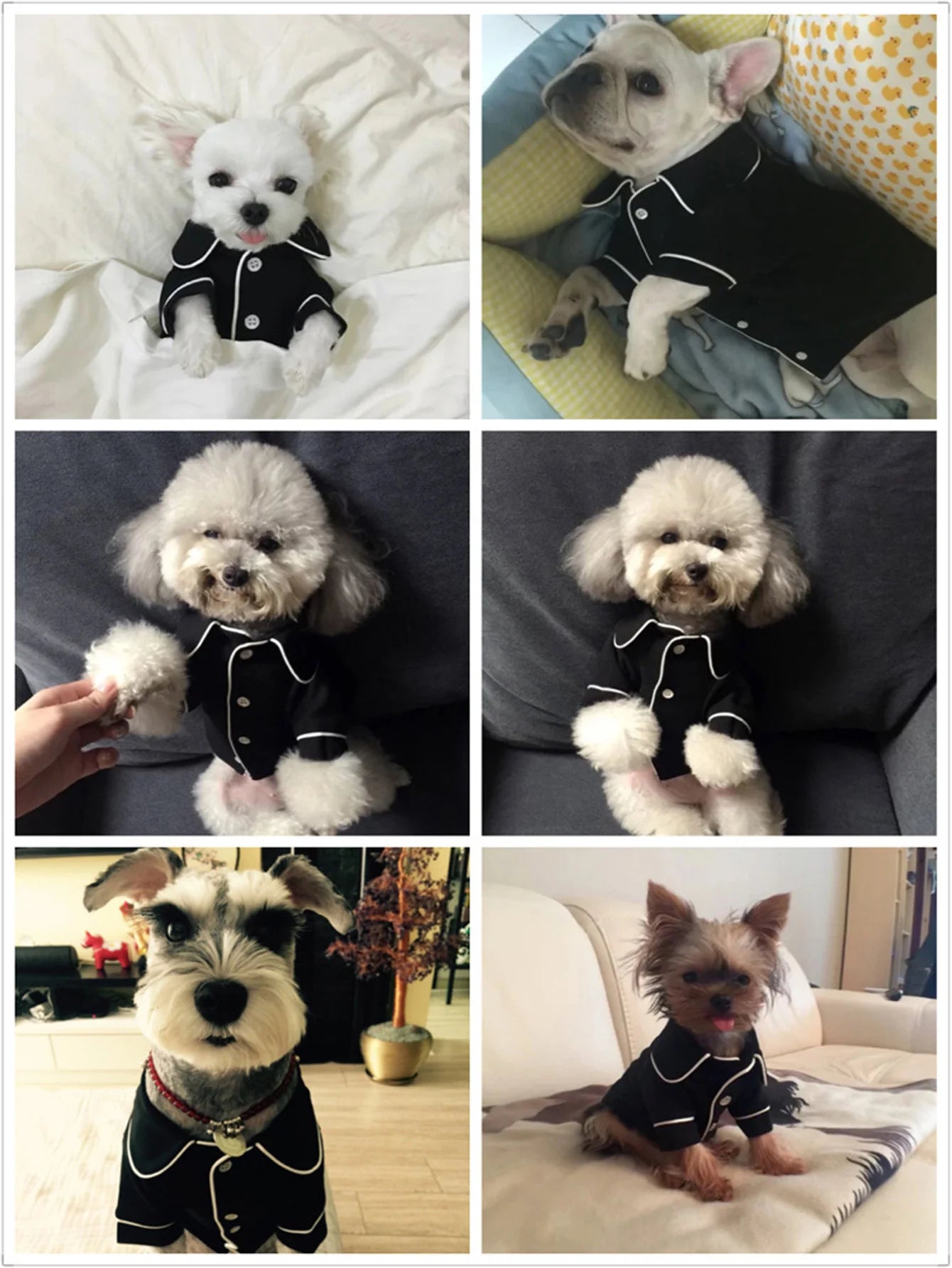 Pet Summer Pajamas