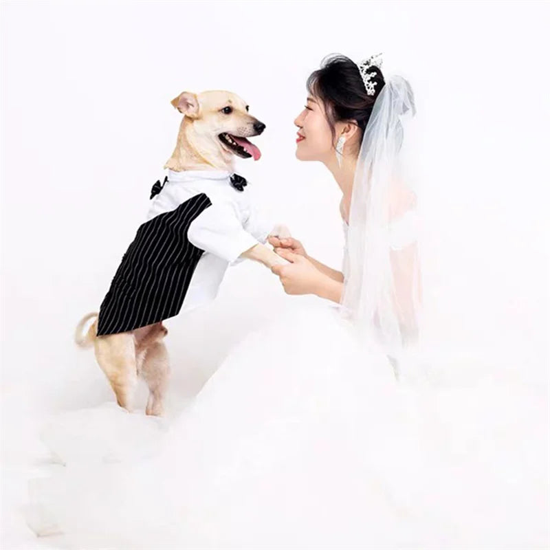Dog Tuxedo Shirt