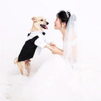 Dog Tuxedo Shirt