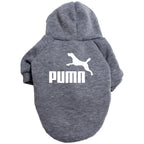 Classic Dog Hoodie