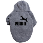 Classic Dog Hoodie