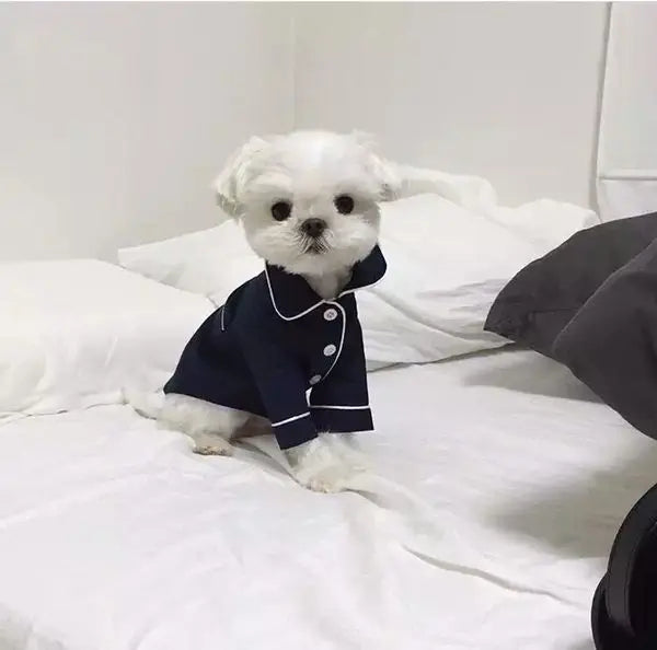 Pet Summer Pajamas