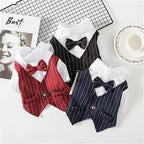 Dog Tuxedo Shirt