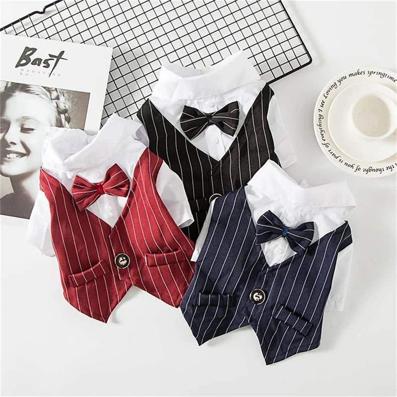 Dog Tuxedo Shirt