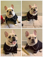 Pet Summer Pajamas