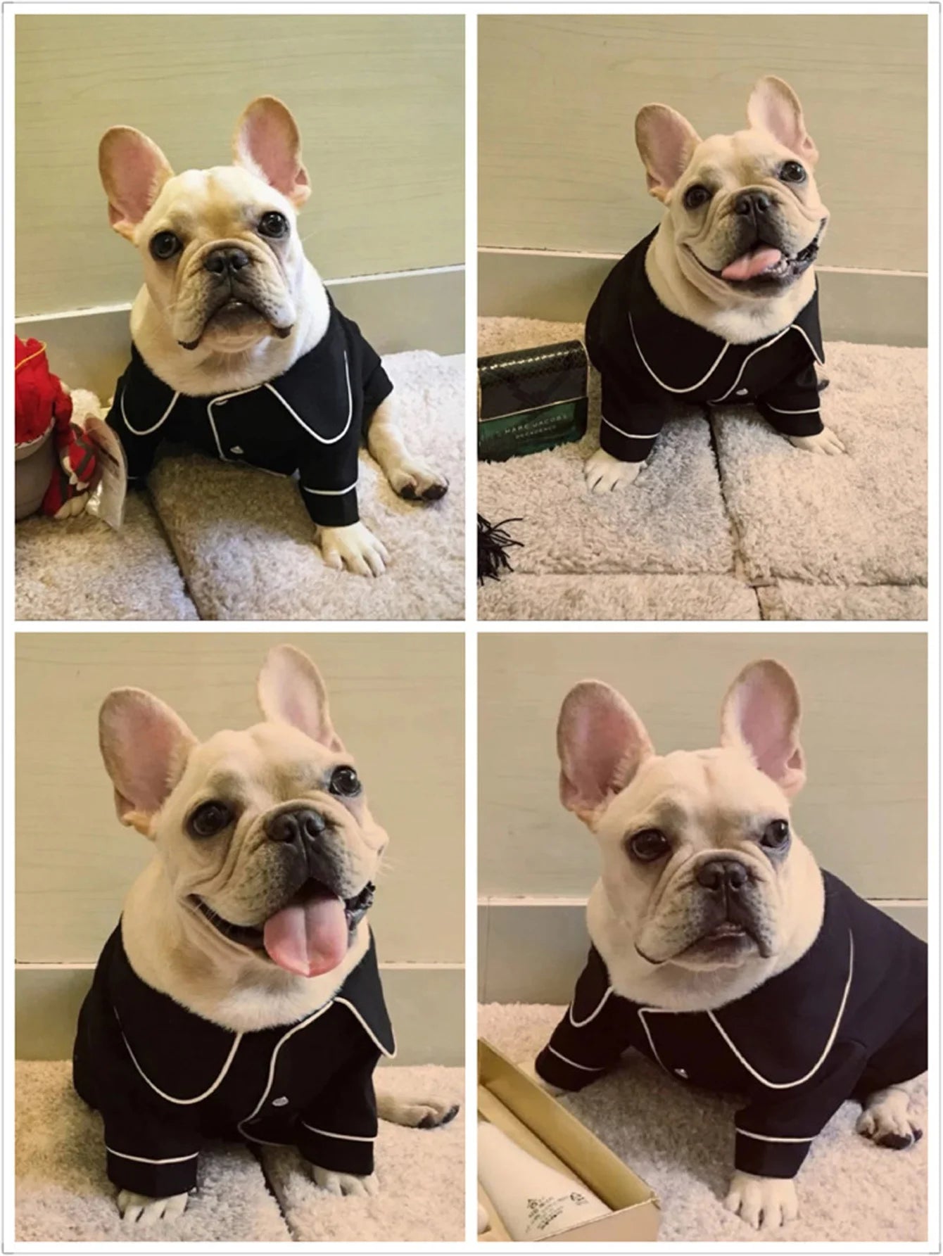 Pet Summer Pajamas