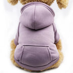Warm Dog Hoodie