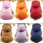 Warm Dog Hoodie
