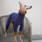 Thermal Dog Bodysuit