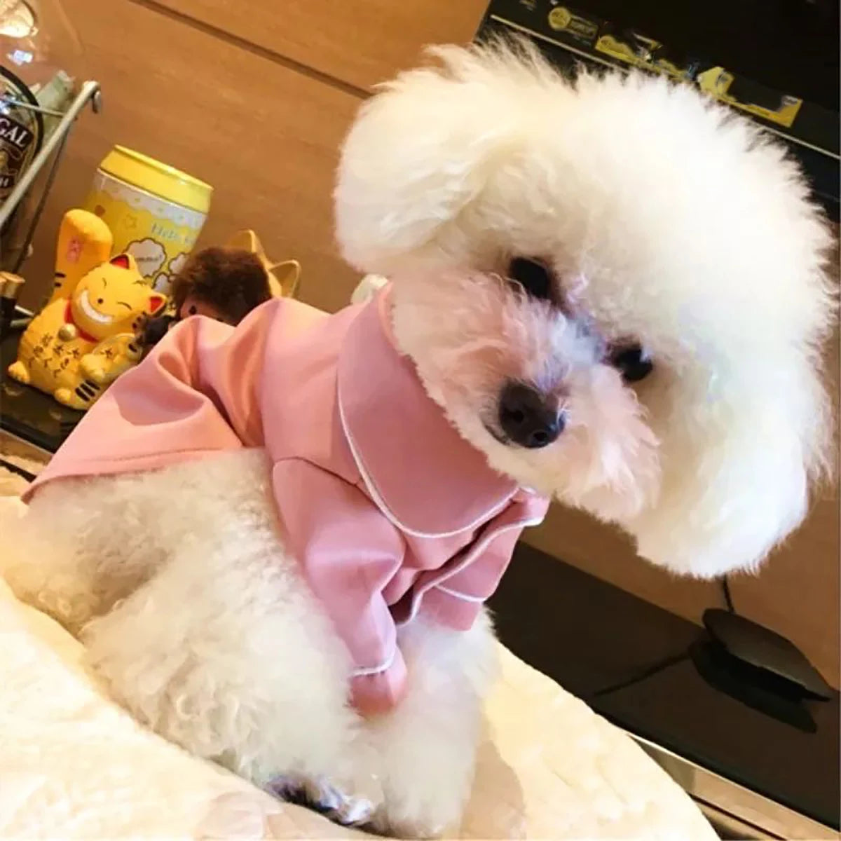 Pet Summer Pajamas