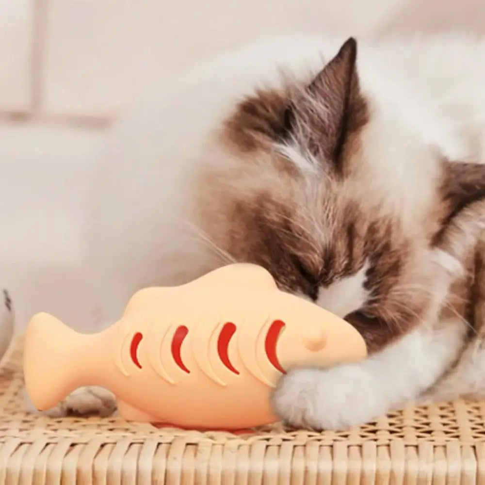 Fish Treat Dispenser Toy
