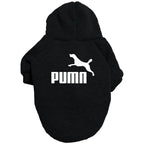 Classic Dog Hoodie
