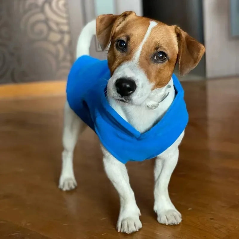 Fleece Dog Vest