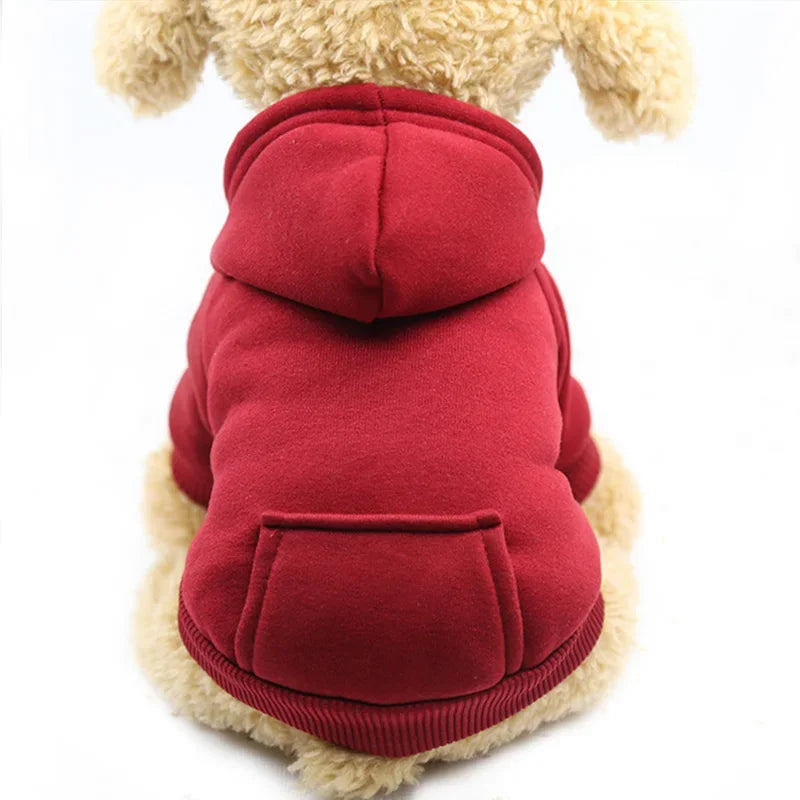 Warm Dog Hoodie