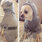 Puppy Hoodie Jacket